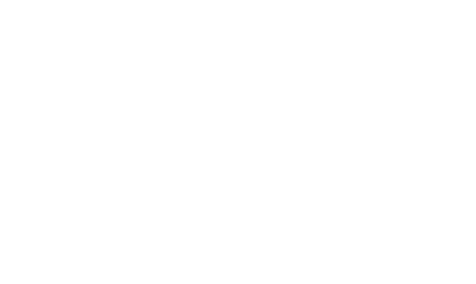 Amavidi logo
